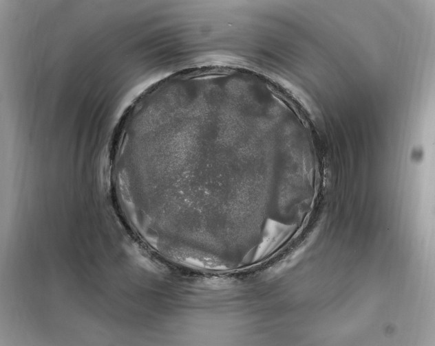 X0000102021117200808011417