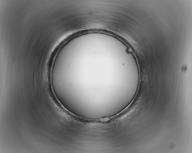 X0000102021118200808011417