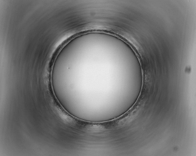 X0000102021119200808011417