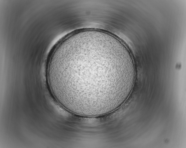 X0000102021120200808011417