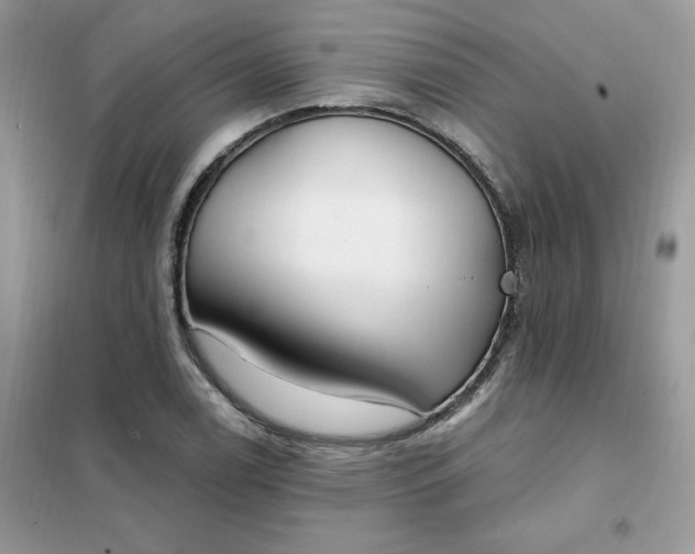 X0000102021122200808011417