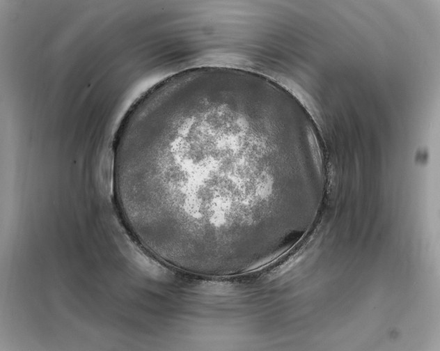 X0000102021123200808011417
