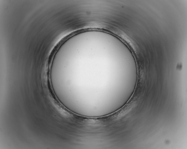 X0000102021124200808011417