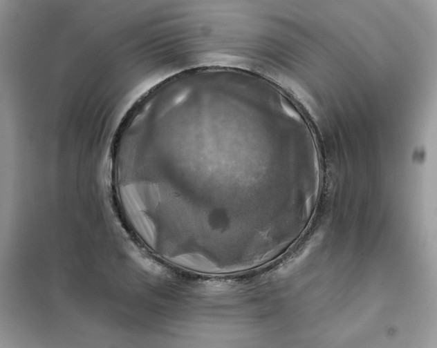 X0000102021125200808011417