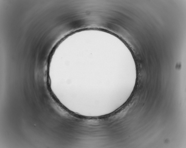 X0000102021126200808011417
