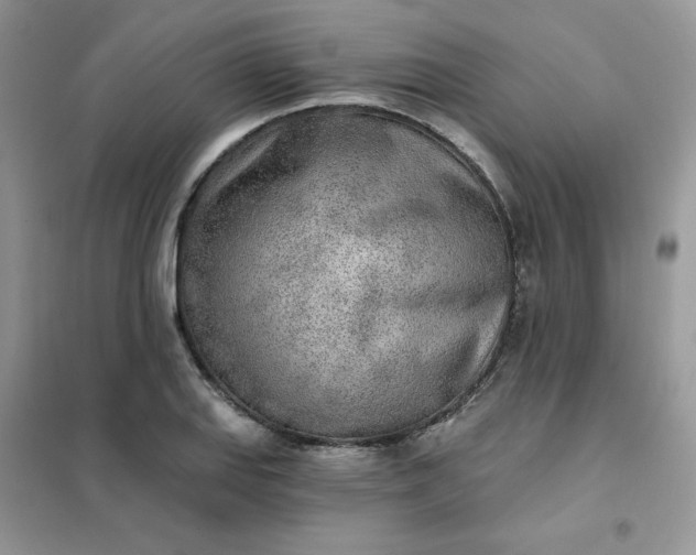 X0000102021127200808011417