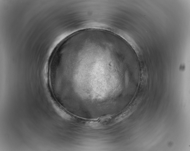 X0000102021128200808011417