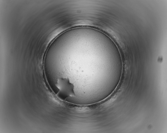 X0000102021129200808011417