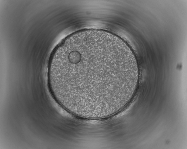 X0000102021130200808011417