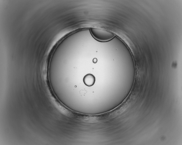 X0000102021131200808011417