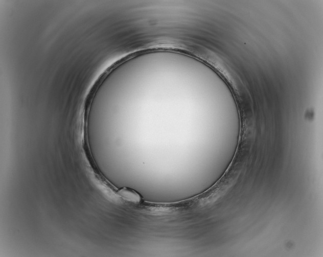 X0000102021132200808011417