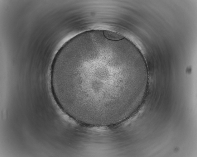 X0000102021133200808011417