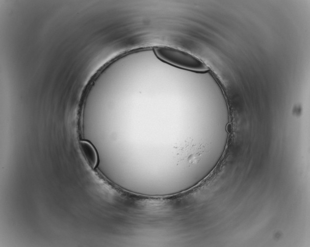 X0000102021134200808011417