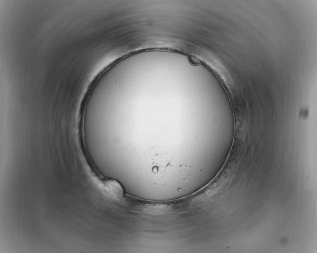 X0000102021135200808011417