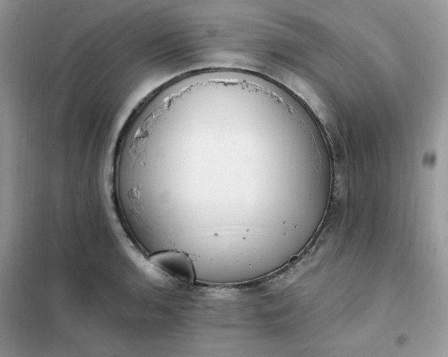 X0000102021136200808011417