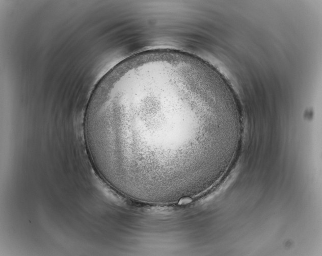 X0000102021137200808011417