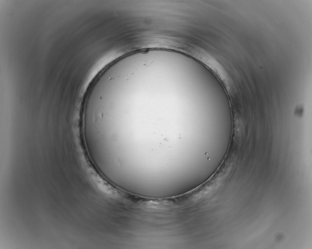 X0000102021138200808011417