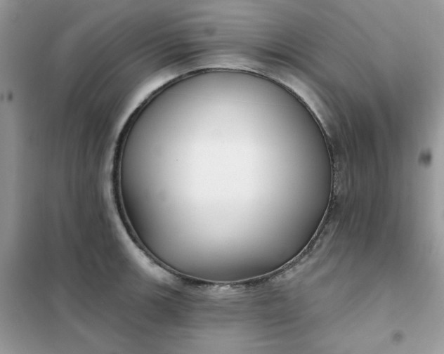 X0000102021139200808011417