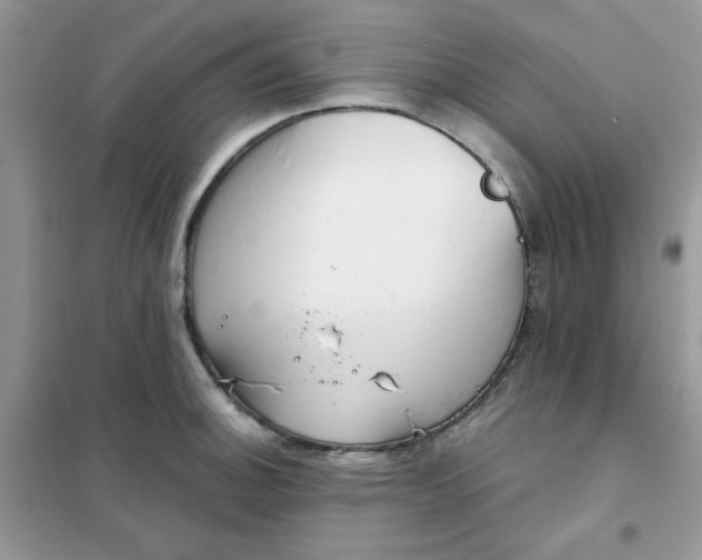 X0000102021140200808011417