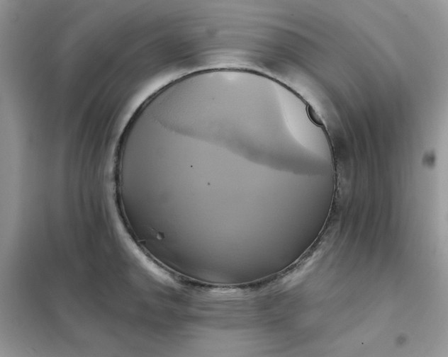X0000102021142200808011417