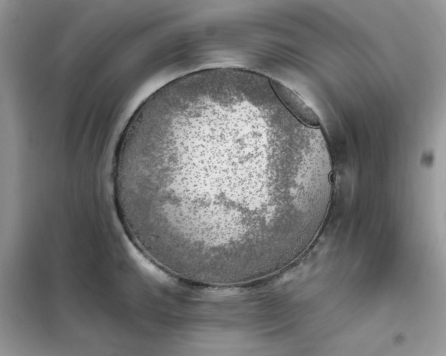 X0000102021143200808011417
