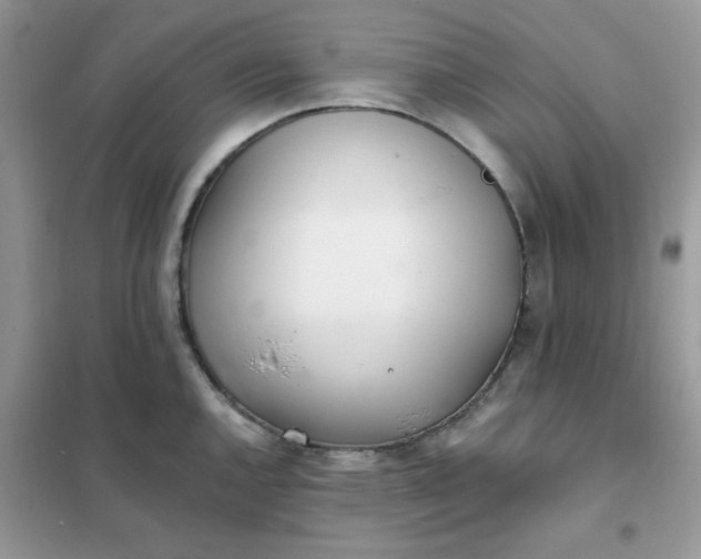 X0000102021144200808011417