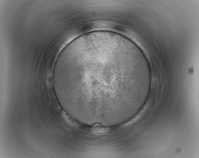 X0000102021145200808011417