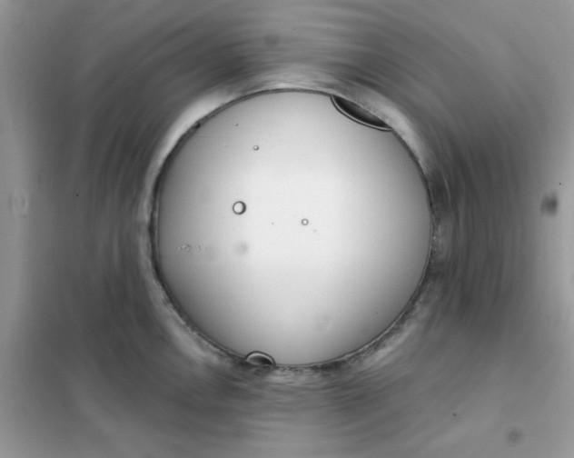 X0000102021146200808011417
