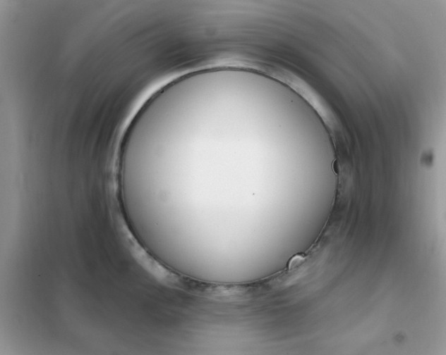 X0000102021148200808011417