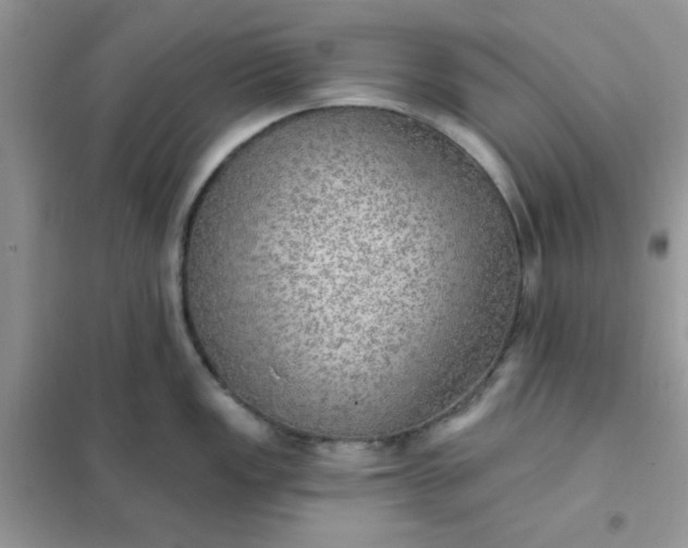 X0000102021149200808011417