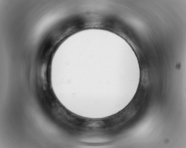 X0000102021150200808011417