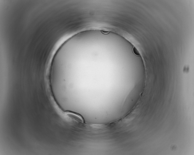 X0000102021152200808011418