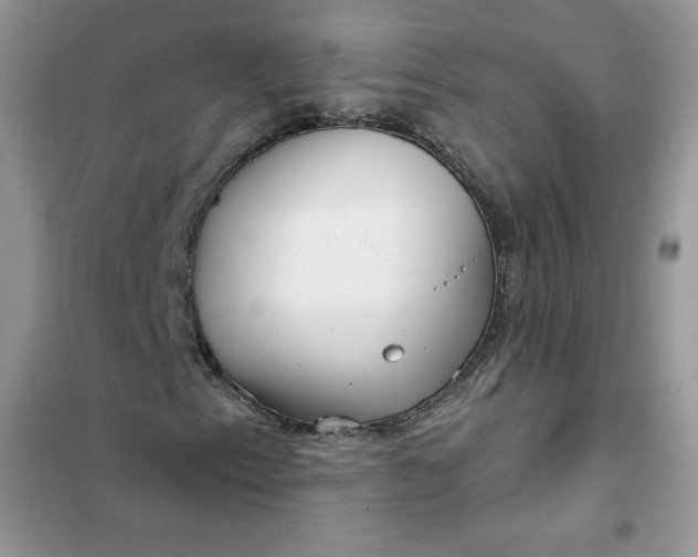 X0000102021153200808011417