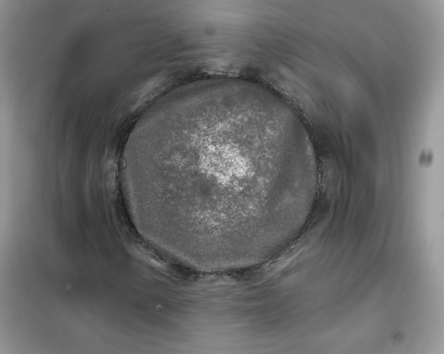 X0000102021154200808011417