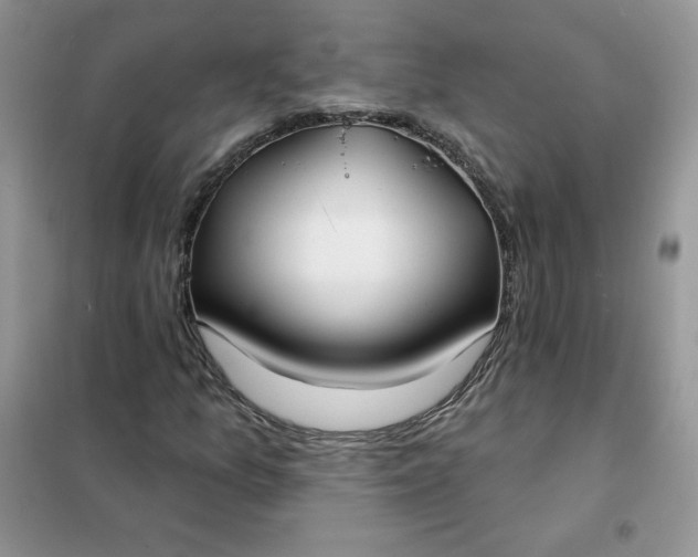 X0000102021157200808011417