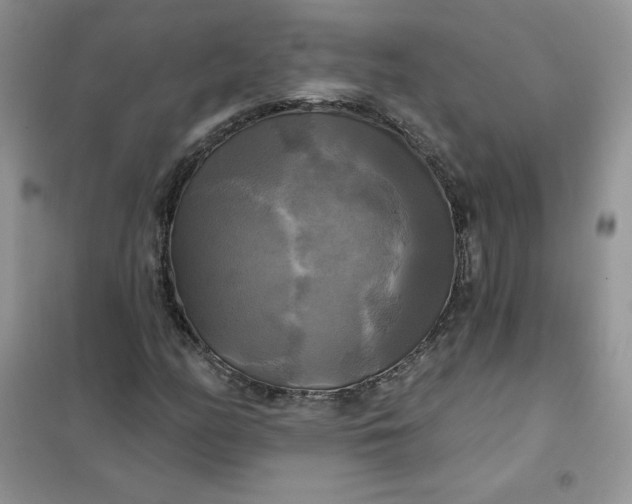 X0000102021158200808011417