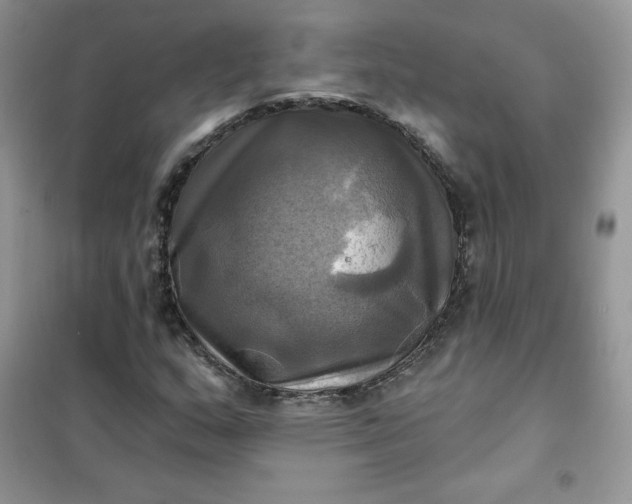 X0000102021159200808011417