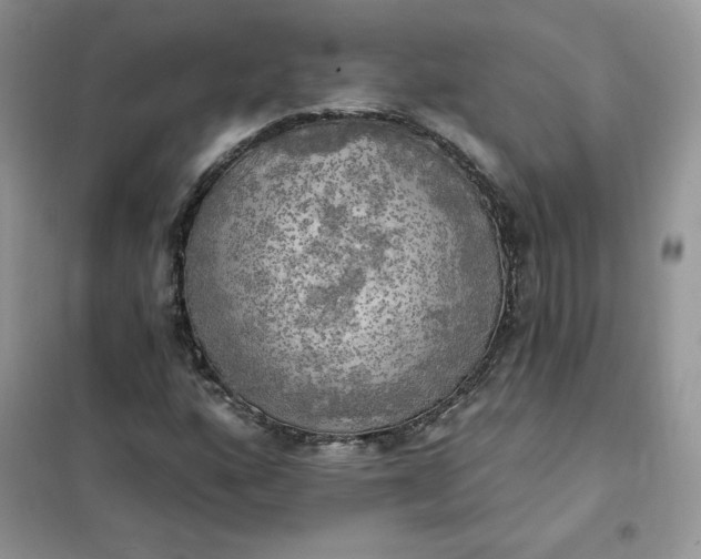 X0000102021160200808011417