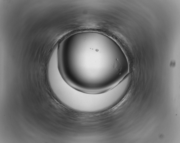 X0000102021161200808011417