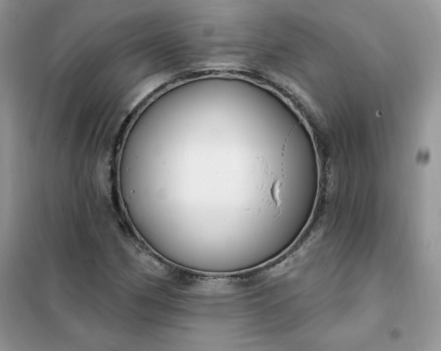 X0000102021162200808011417