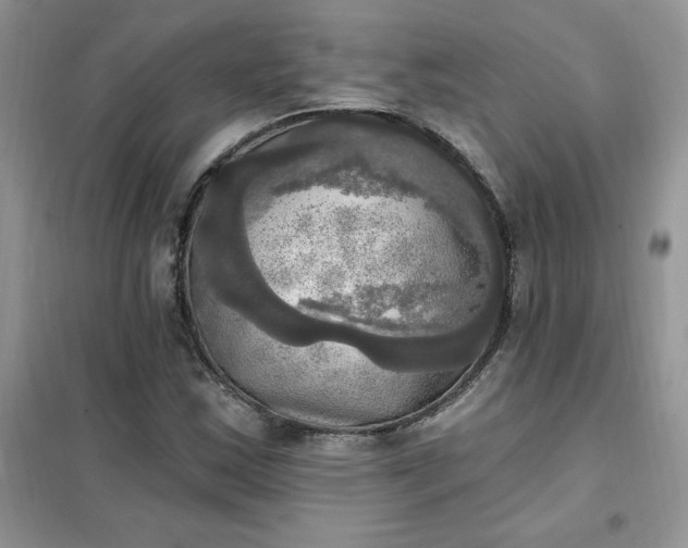 X0000102021163200808011417