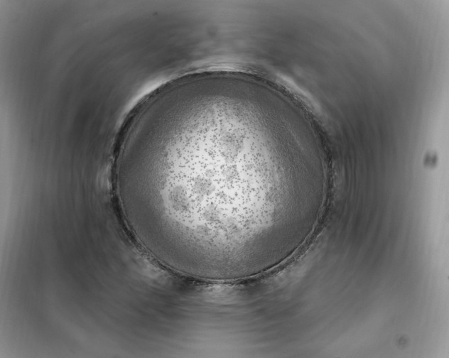 X0000102021166200808011417