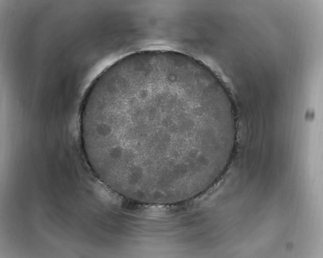 X0000102021167200808011417