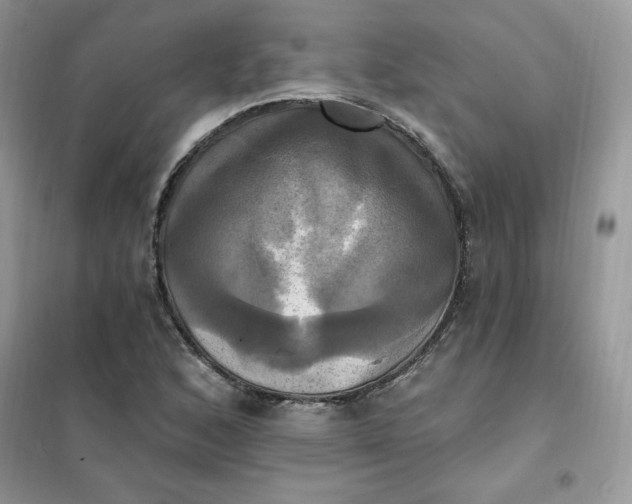 X0000102021168200808011417