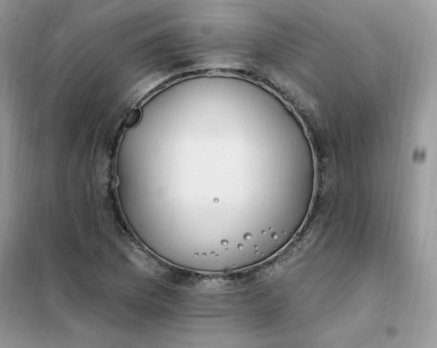X0000102021169200808011417