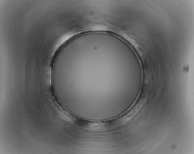 X0000102021171200808011417