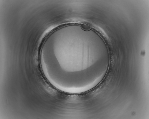 X0000102021172200808011417