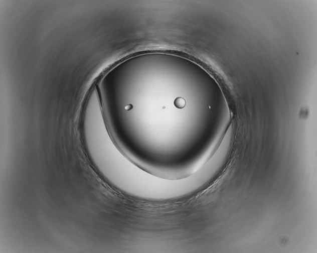 X0000102021173200808011417