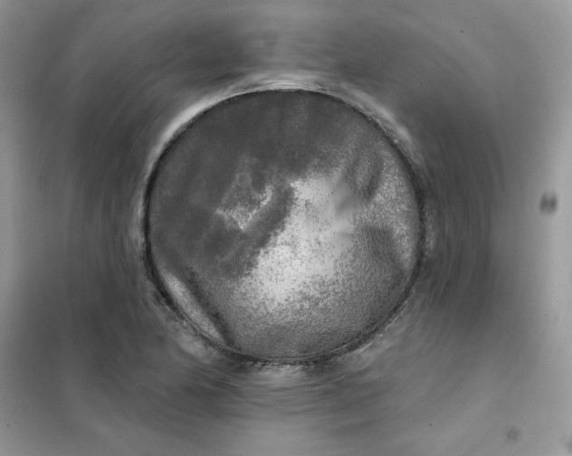 X0000102021174200808011417