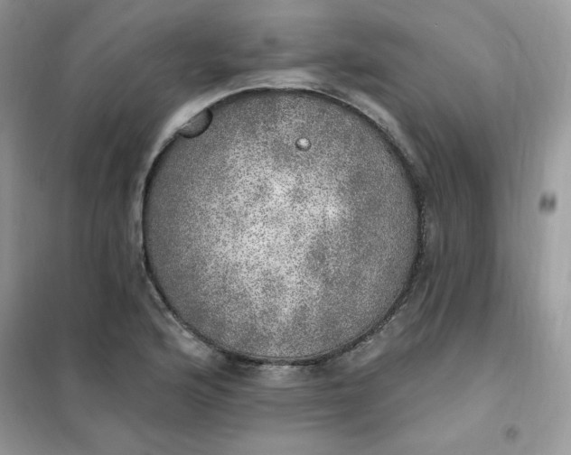 X0000102021176200808011417